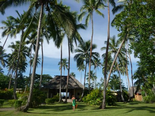 Fiji 083