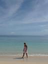 Bounty Island (6)