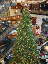 Xmas @ Auckland