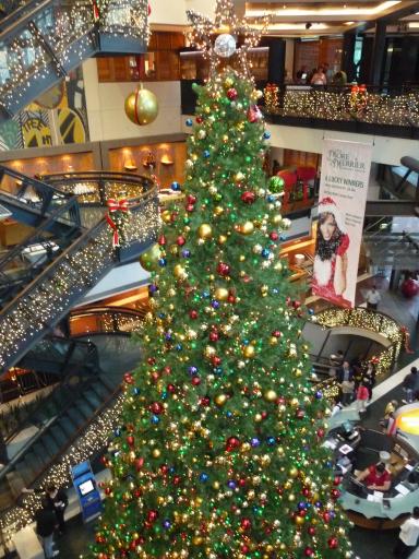 Xmas @ Auckland