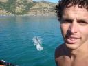 Dolphin swimming 7