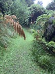 5E38F2EA-2D08-4CEE-A95C-54621CC9740A