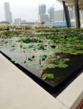 Marina Bay