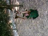 Chi chi tunnels