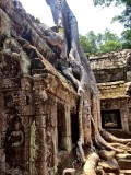 Campus Tombraider