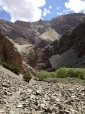 Eerste dag trekking