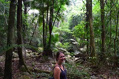 Jungle trekking