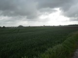Het platteland