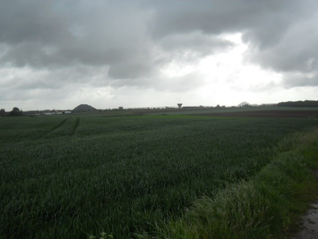 Het platteland