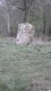 Een oude molensteen in het bos