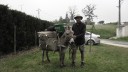 Roger en Leon de ezel