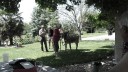 SAM_0364