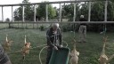 SAM_0368