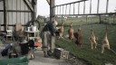 SAM_0369