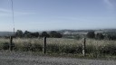 SAM_0404