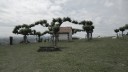 SAM_0419