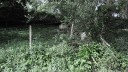 SAM_0468