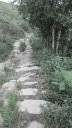 SAM_0469