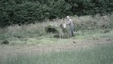 SAM_0476