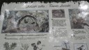 SAM_0500