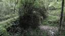 SAM_0501