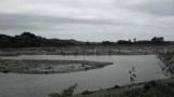 SAM_0556