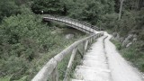 SAM_0568