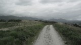 SAM_0569