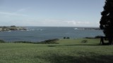 SAM_0642