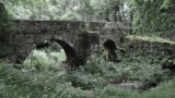 SAM_0664