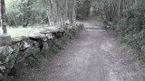 SAM_0667