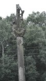 SAM_0668