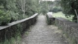 SAM_0675