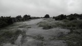 SAM_0694