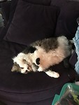 Kurnie