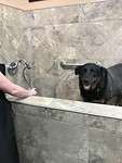 Karma wassen
