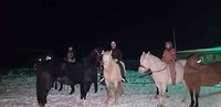 Nadat de paarden waren ontsnapt