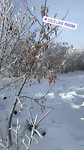 Cold Lake marina
