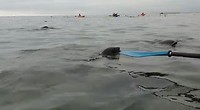 VID-20190519-WA0013