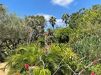 IMG-20220526-WA0045