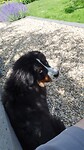 IMG-20220528-WA0001