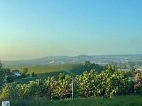 IMG-20220917-WA0028