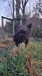 IMG-20250321-WA0004