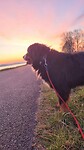 IMG-20250321-WA0003