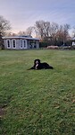 IMG-20250321-WA0002