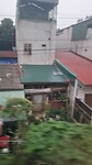 1000045323
