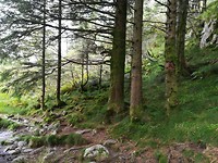 IMG_20180902_124659
