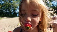 Ever ook een paar Aardbeien