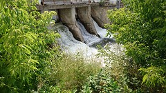 Ja ja daarom gingen we naar Smiths Falls voor de watervallen.. Die al 200 jaar geleden weg zijn haha