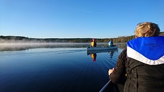 Prachtig die dauw op het water